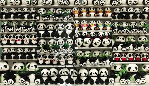 パンダの中に何かが？00