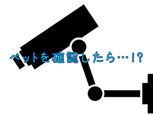 遠隔カメラでペットを確認00