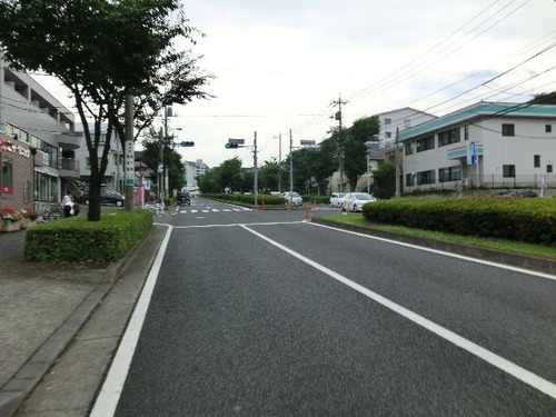 23堀の内から尾根幹