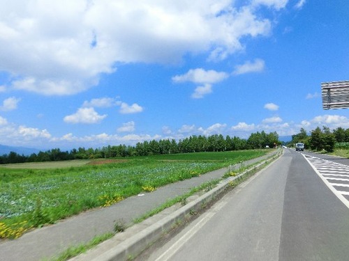 13エコーライン2