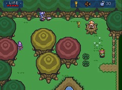 Zelda Flash