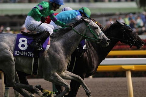 whalecapture20130512-620x413