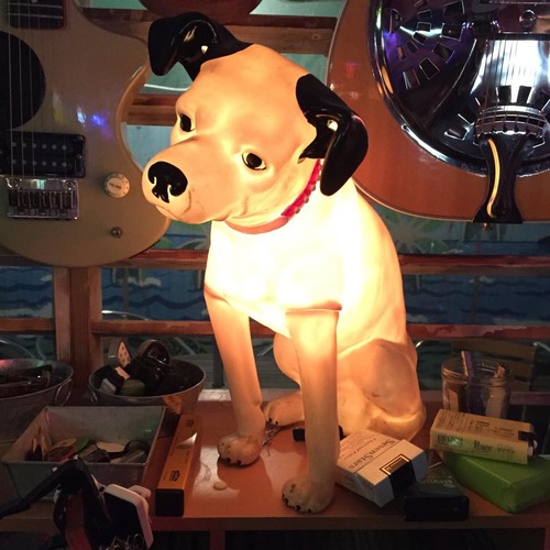 10487500_414849475340787_7064241543162477726_n