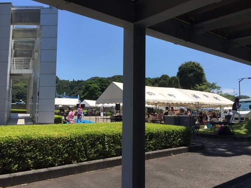 13882505_1322799927747565_7744948799121435814_n