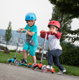 ミニ・マイクロ・スタンダード