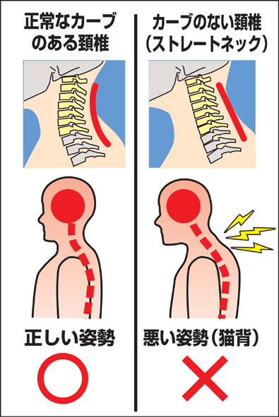 関連画像