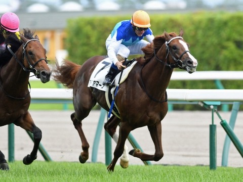 皐月賞2019アドマイヤマーズ競馬予想