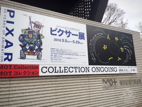 pikusa-