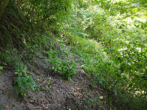 ●P8227258