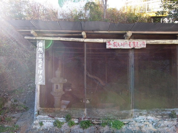 PC062491
