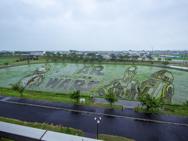 aomori-3