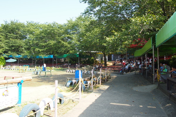 P7292822