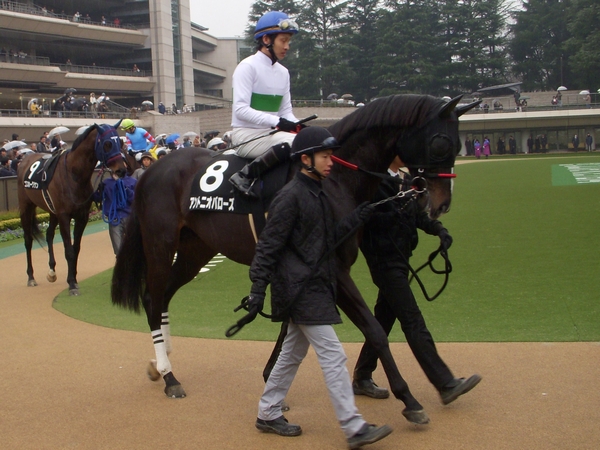 201002141
