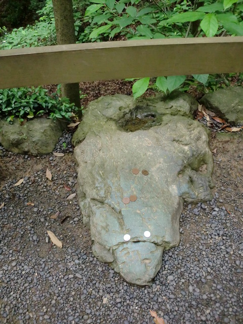 CIMG0573