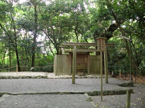 CIMG0561