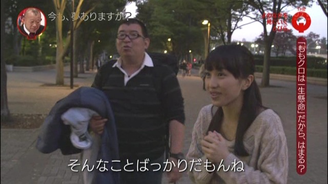 m2013_11_11_b_0280