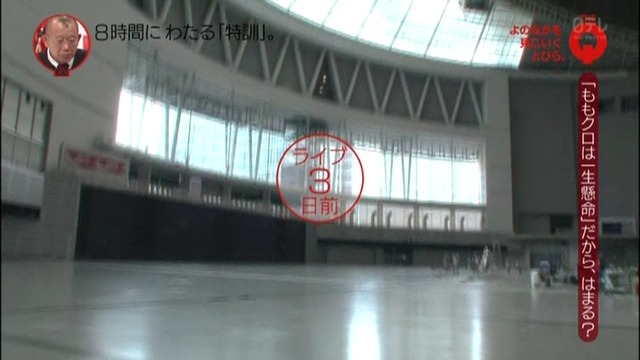 m2013_11_11_b_0166
