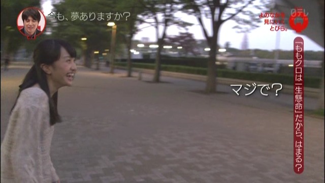 m2013_11_11_b_0266