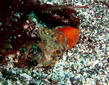 IMG_1557