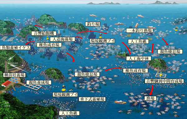 浮標は初めて！！韓国gyogyoukeikaku
