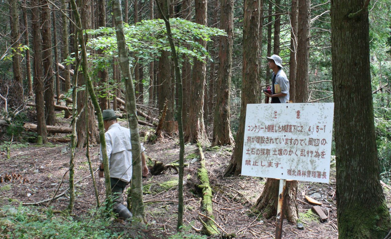 ベトナム戦争の枯葉剤が日本の山に みーたん みーたんのブログ