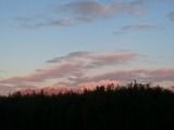 DSC_0136