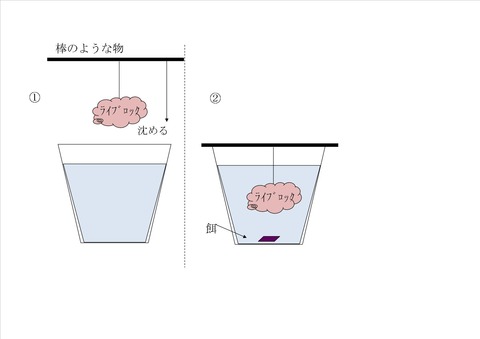 ウミケムシの駆除方法は 何匹とれるかな くまぱぱのブログ