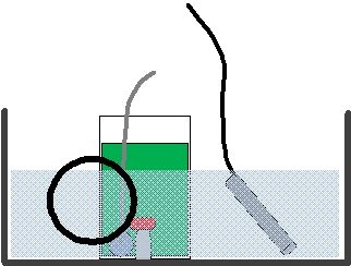 ワムシや ブラインシュリンプの保温について くまぱぱのブログ