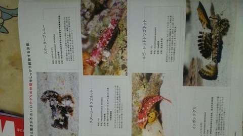 [画像:ee0f587c-s.jpg]