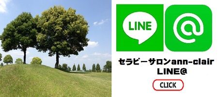 25530290_1588966337862810_667025801_n - コピー