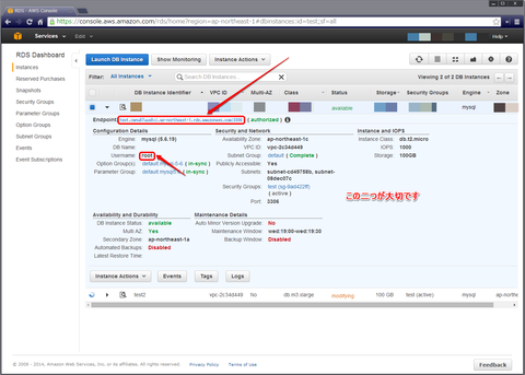 aws_rds_endpoint_and_username
