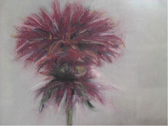 グラフィックス1