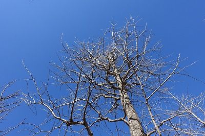 DSC00766