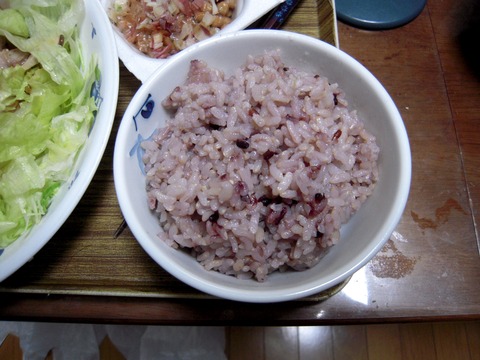 DSCN2400-1