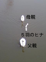 BlogPaint