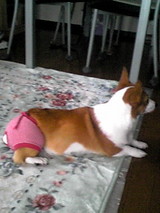 パンツ姿のアイン