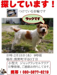 迷い犬ＪＲＴ探しています