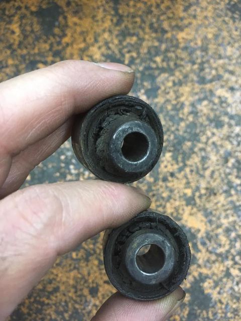 18402871_1182076815253073_3042279959477992803_n