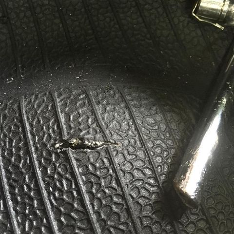 59386777_2020288428100017_897436002069512192_n