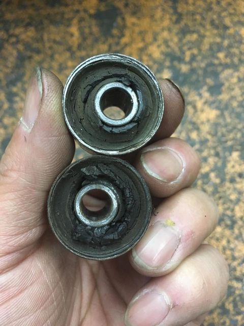 18403552_1182076808586407_5363515305235438271_n