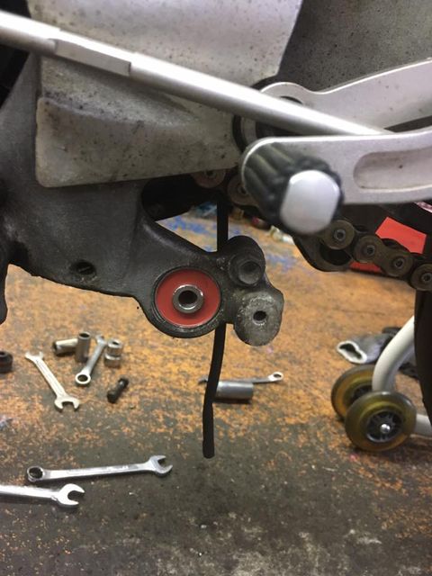 18403711_1182076805253074_8379562006822700732_n