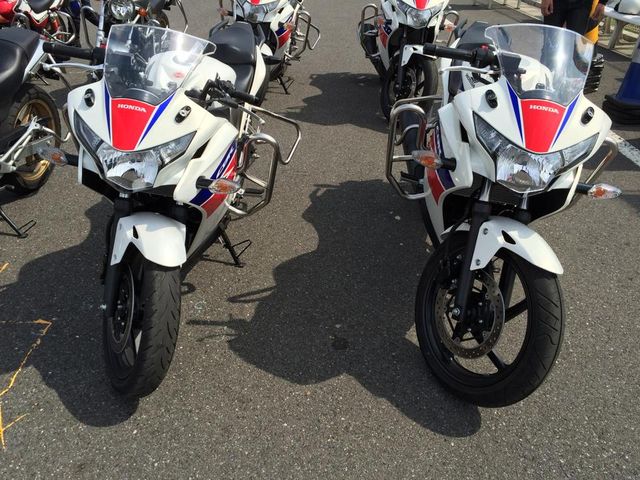 10156117_471044619691080_7925825735480250649_n