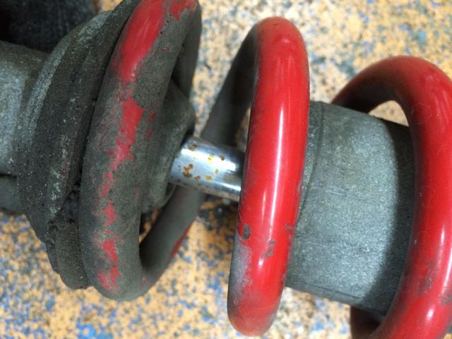 10628288_583899975070763_291495561966285729_n