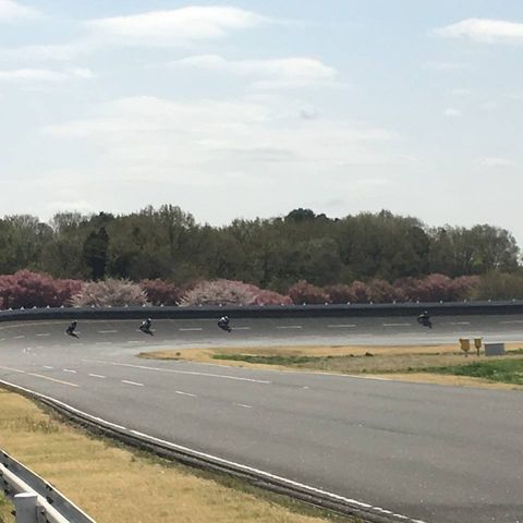 29695156_1474418116018940_1154824329737797632_n