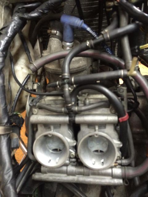 10246266_583900085070752_2104630548183341550_n