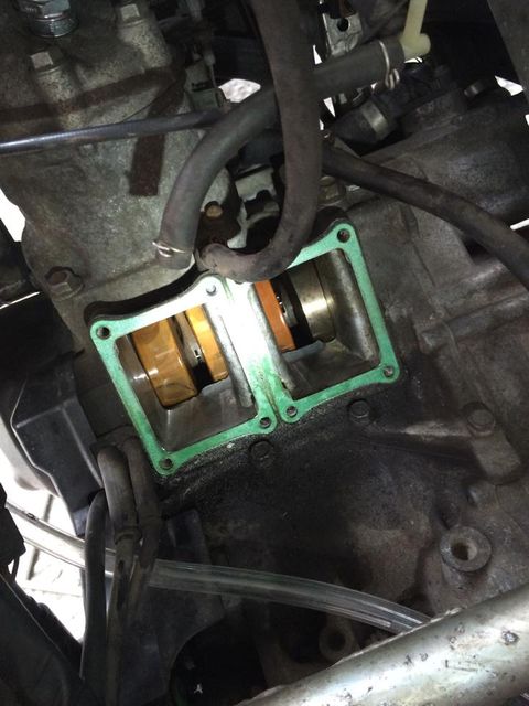 10348591_566586993468728_790534199228093068_n