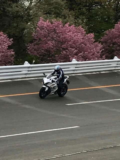 29695203_1474829742644444_7468232053616541696_n