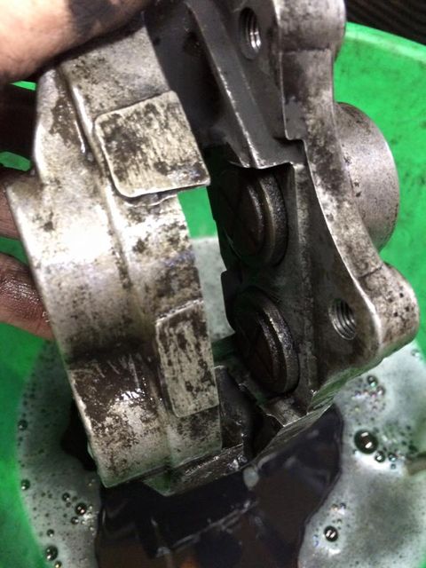 12345618_792903410837084_3323265092542157295_n