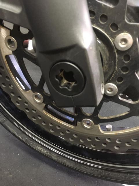 51060117_1855005594626855_8741248656365060096_n