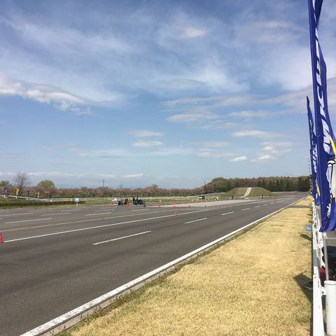 29791751_1474418069352278_8113036550326976512_n